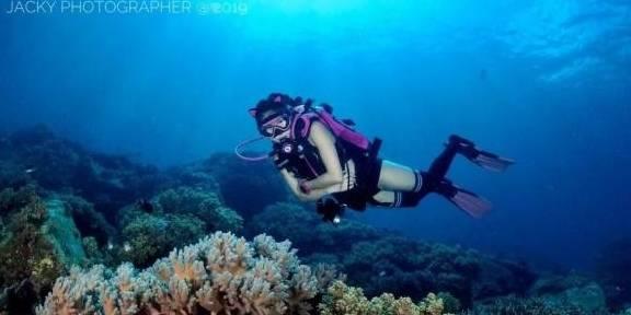 白天马路牙子晚上大宋摇子，你们逆水寒手游的人玩这么花的啊？！